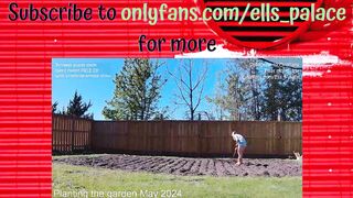 ells_palace 2024-05-26 2316 webcam video