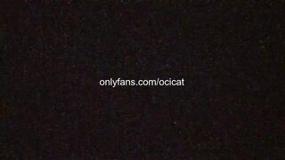 ocicat 2023-08-11 0248 webcam video