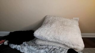 lily_brooke 2023-09-23 0254 webcam video